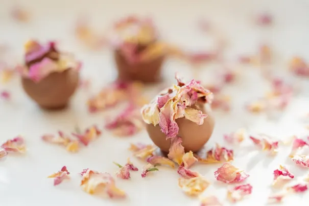 Bella Vegas Casino Android/iOS App